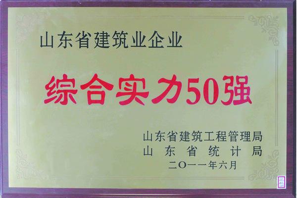 山東省綜合實(shí)力50強(qiáng)